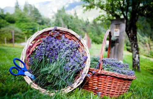 AGRITURISMO BORGO DAMOS - Foto 25