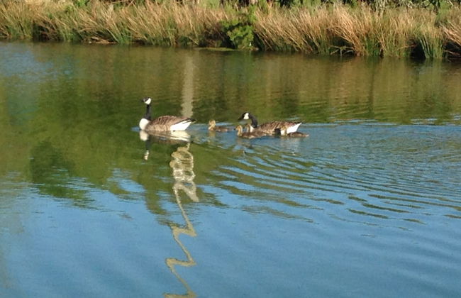 Acorn Court Country House - Foto 33