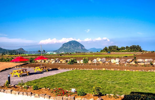 Boreum Pension - Foto 55