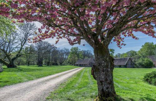 Gîtes les Muids - Les "Oiseaux" et la "Ferme" - Foto 1