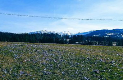 Willa Rąbanisko z sauną fińską - Foto 60