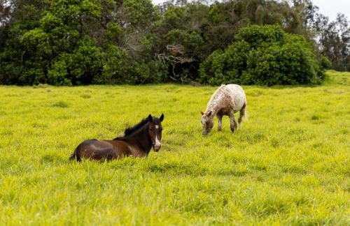 A Cozy Cabin In The Country - Foto 22