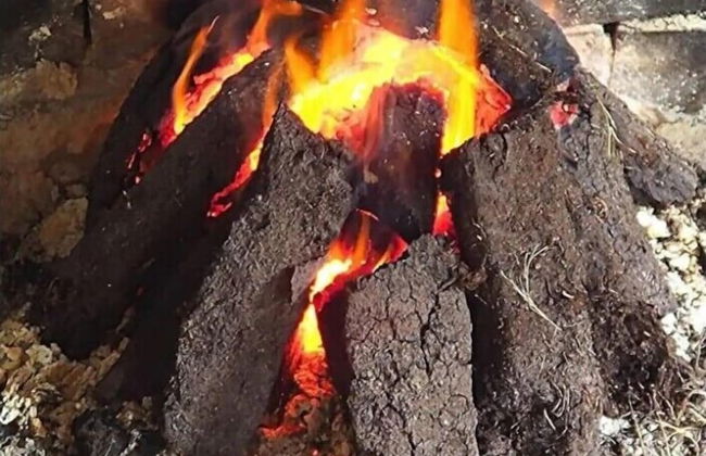 Rosehill House - Foto 14