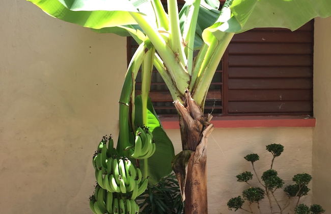 Villas Los Ángeles - Foto 10