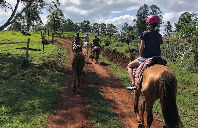 Piedra y Agua Eco Lodge - Foto 12