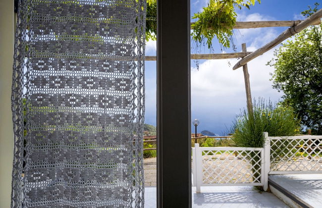 Fattoria Terranova - Foto 6