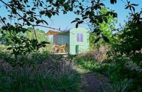 Bienenwagen Weitblick, Kamin, Sauna ganzjährig nutzbar - Foto 7