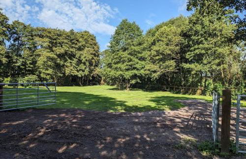 Cosy Owl - Shepherds Hut - Foto 6