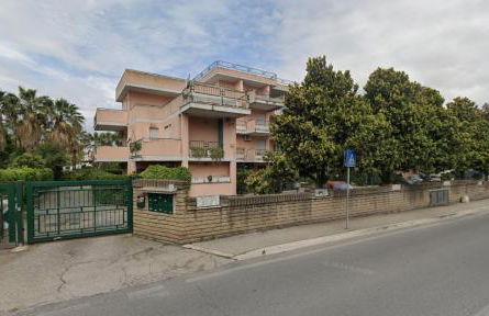 Orchidea Borghese - Foto 28