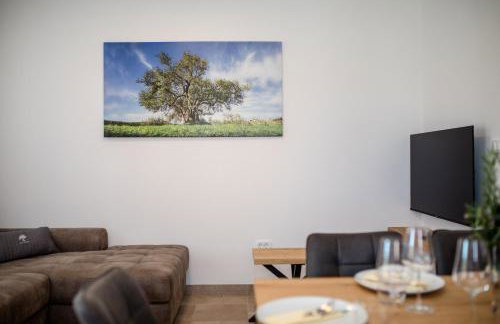 Apartma Stara Maslina - Photo 27