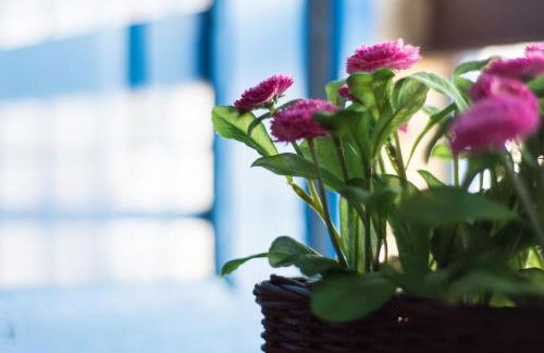 Relais Case Passamonte Resort & Rooms - Foto 31