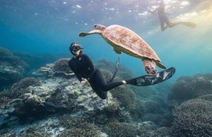 Luxury House with Movie Theater - Foto 66