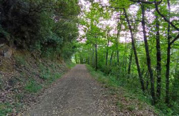 Apartamentos Ca' tio Celso - Foto 58