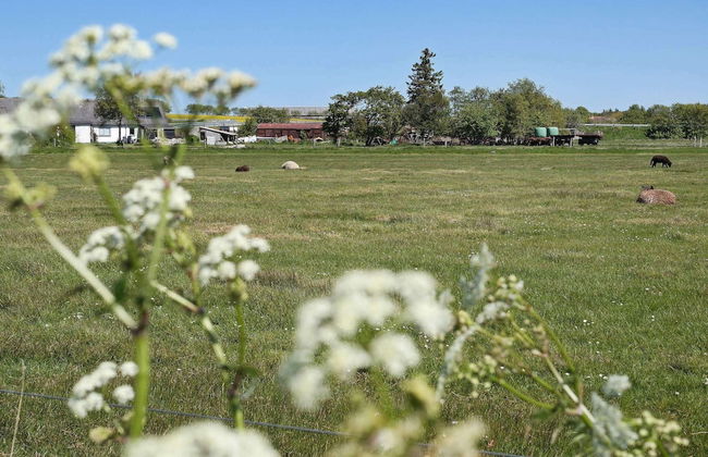 6 Person Holiday Home in Veslos-by Traum - Foto 27