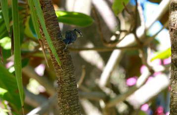 Résidence Marina Livia - Foto 4