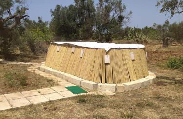 Trullo Contrada Specchi - Foto 52