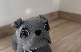 Ferienhaus Roßbachtal - Foto 21