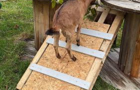 Wohnen in der ehemaligen Bauernstube - Foto 27