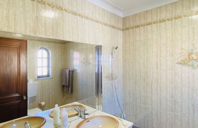 Azinheira CIP - Photo 34