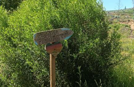 Quinta D' LuzArcoIris - Foto 39