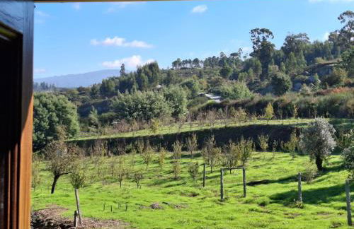 Quinta dos Mascarenhas Nature House - Foto 16