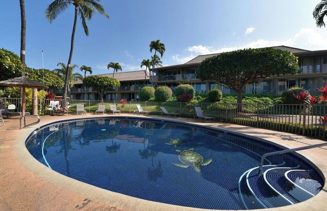 Eldorado K102 - Photo 38