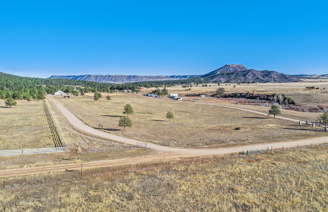 Tree Deer Blind - Foto 40