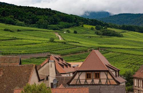 Le Belvédère Alsacien - Foto 43