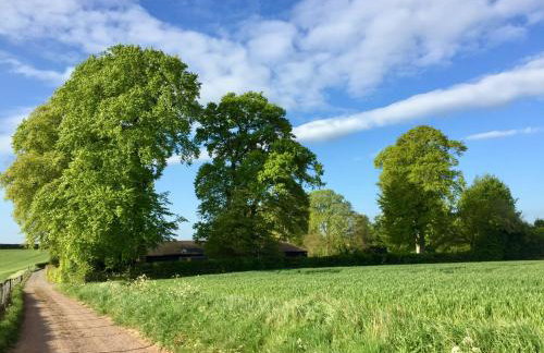 Barn Ann-exe, Sleeps 4, Garden, Parking spaces - Foto 56