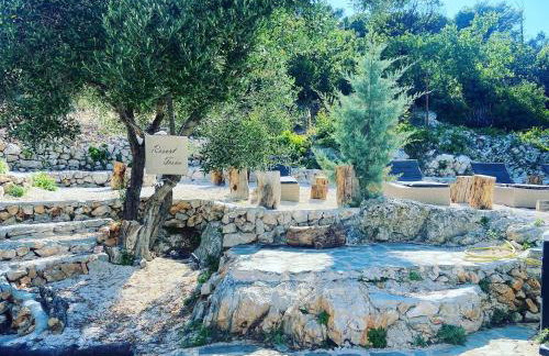 Tisno Resort - Photo 4