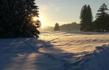 Ferienwohnung Sandra Wetzel - Foto 31