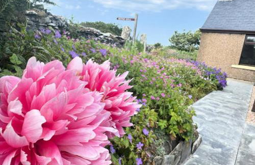 Withi-Gill - Cottage - Bay of Ireland Views - Foto 22