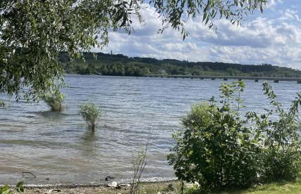 100m2 5 min zum See gemütlich und ruhig - Foto 20