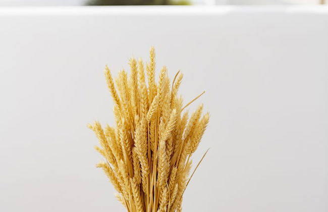 Lithos by Spyros & Flora - Foto 56