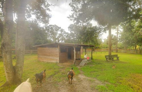Pet-Friendly Cabin on 50 Acres in Palm City! - Foto 23