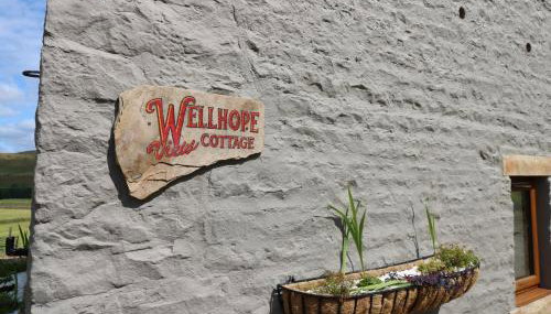 Wellhope View Cottage - Foto 3