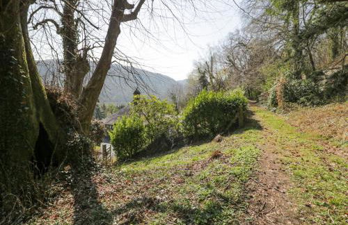 Bwthyn y Coediwr The Woodcutters Cottage - Foto 31