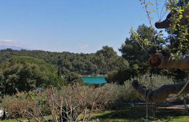 Milijana Apartments Rab - Photo 26