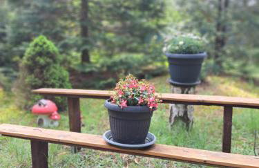 HomeWood - Popowo Letnisko - Foto 21