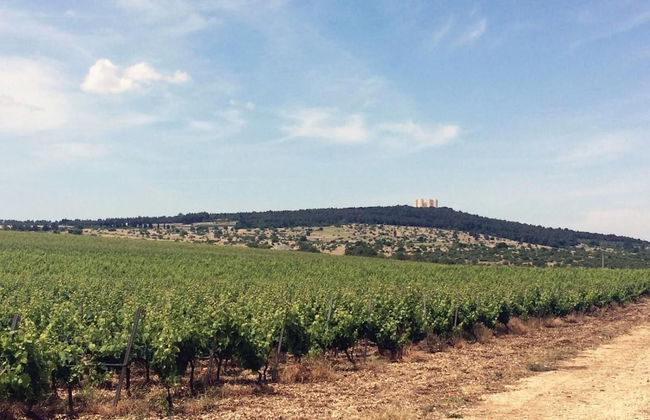 Ai Pilieri di Bagnoli - Foto 57