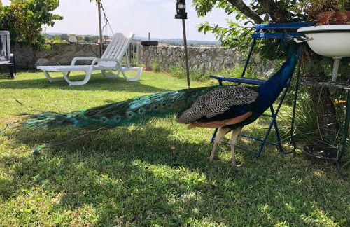 Monte de Stª Margarida - Foto 25