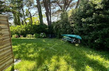 parlementia surf studio - Foto 8