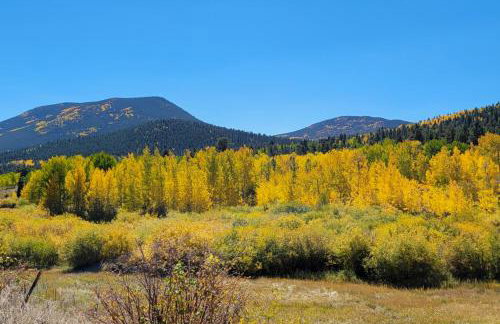 Deck and Mtn Views! Family A-Frame Cabin in Bailey - Foto 23