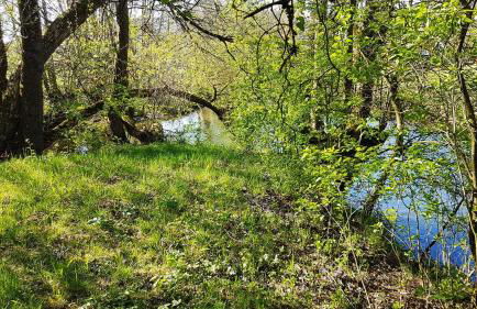 Apartment Pegnitzmühle mit Pegnitzinsel - Foto 24