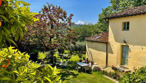 Podere il Casone - Photo 1, Garden, Garden view