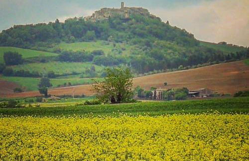 Agriturismo Alchimista - Foto 43