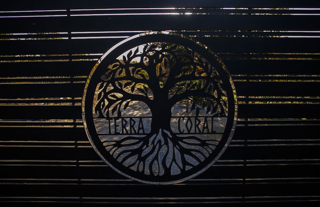 Terra Coral - Chapada dos Veadeiros - Foto 71