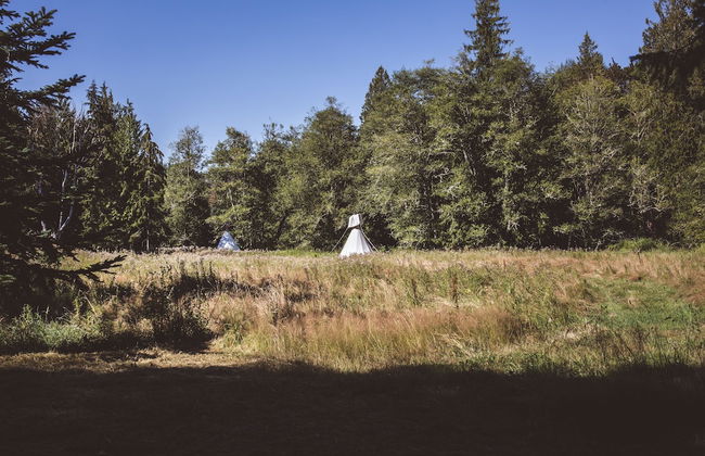 Mt. Rainier Ranch - Foto 61