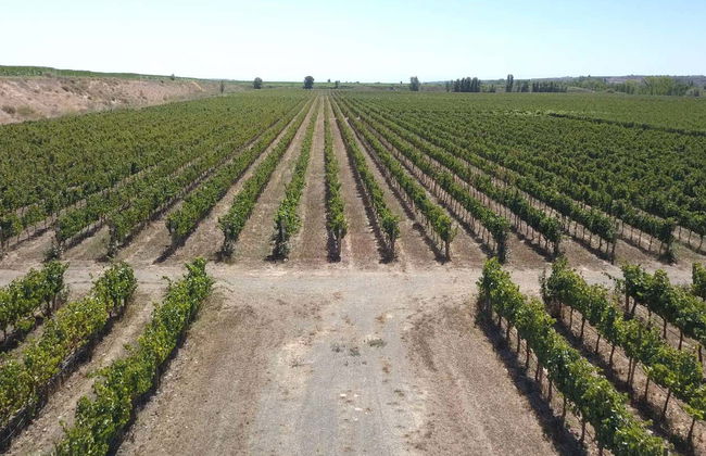 Tour in Algerri - Photo 8