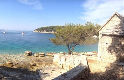 Apartman Mare - Photo 44